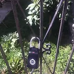 Yellow Submarine Freeparking Petfriendly Rapallo