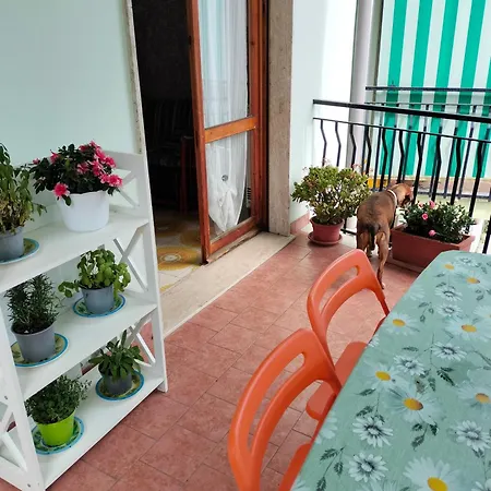 Yellow Submarine Freeparking Petfriendly Apartment Rapallo