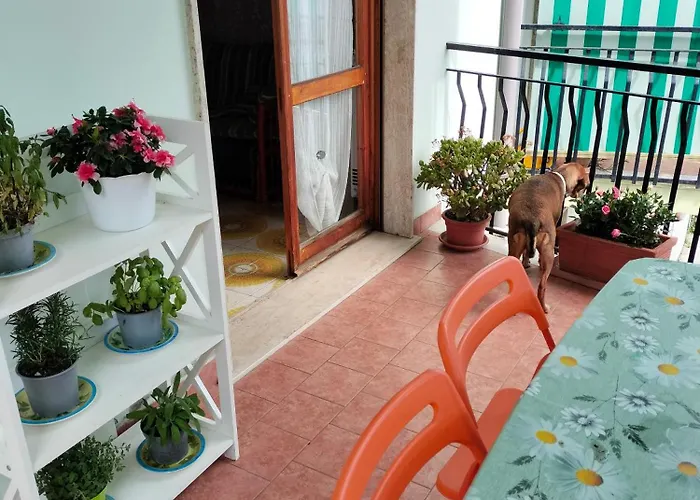 Yellow Submarine Freeparking Petfriendly Apartment Rapallo